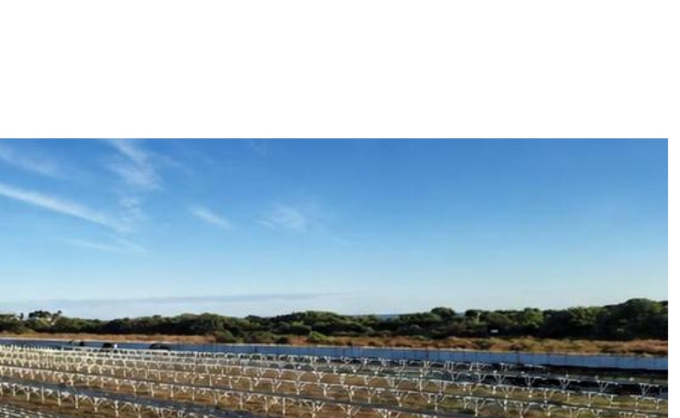 Estructuras de montaje en un parque fotovoltaico